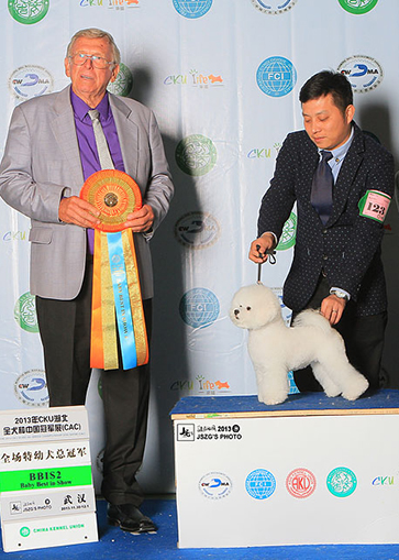 超級(jí)種母，全場(chǎng)后備總冠軍—Nat（萊特）,貴族的新星